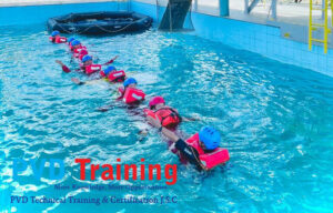 293995745 5447818581966564 9056097608294987467 N