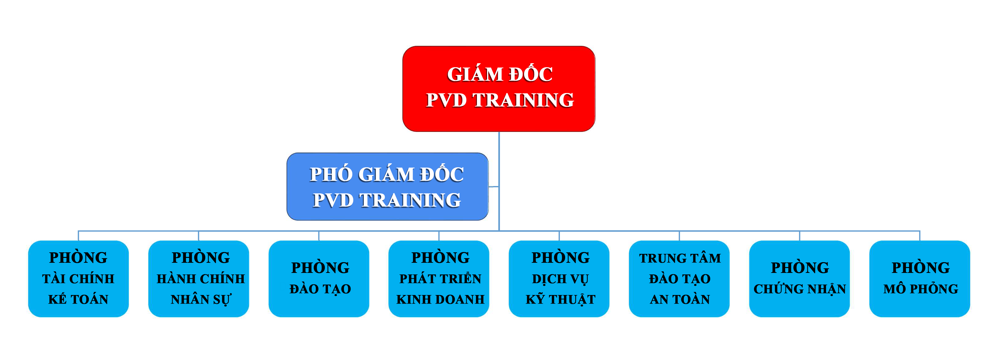 PVD Organisation Chart VI