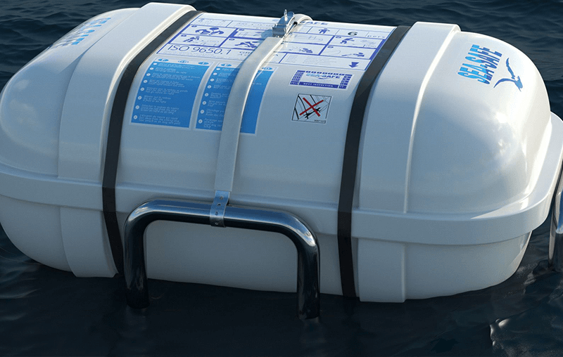 Consulting and Technical Services 6 be cuu sinh 1